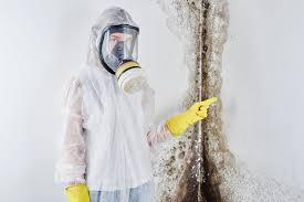 Why You Should Choose Our Mold Remediation Services in Alturas, CA